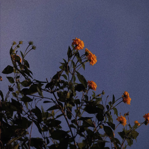 老师把学生带回家做爱视频大全
